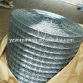 stainless steel wire mesh/ 20mmx20mm welded wire mesh/wire mesh rolls